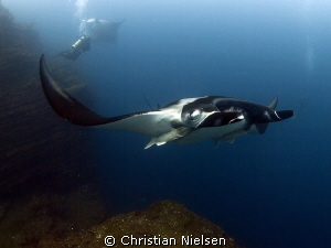 2 manta's, one diveguide and a spectacular rock. Doesn't ... by Christian Nielsen 